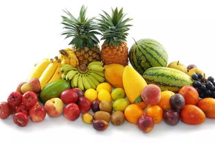 fun肆嗨一夏，暑我最快樂——食品銷售的盛夏狂歡