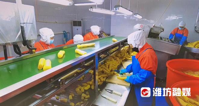 預制菜訂單火爆，企業生產排期已至五月