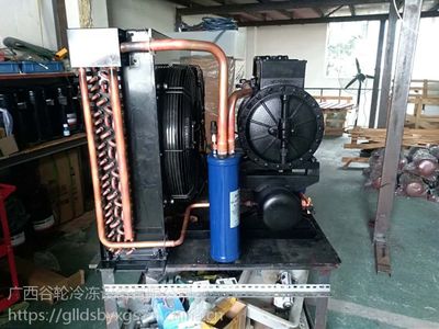 廣西、谷輪C系列制冷壓縮機(jī)